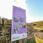 The Museum 度假居 阿尔斯通